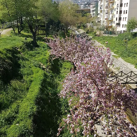 Şükran Hotel 2* Бурса